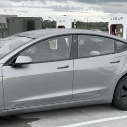Tesla - Dog mode