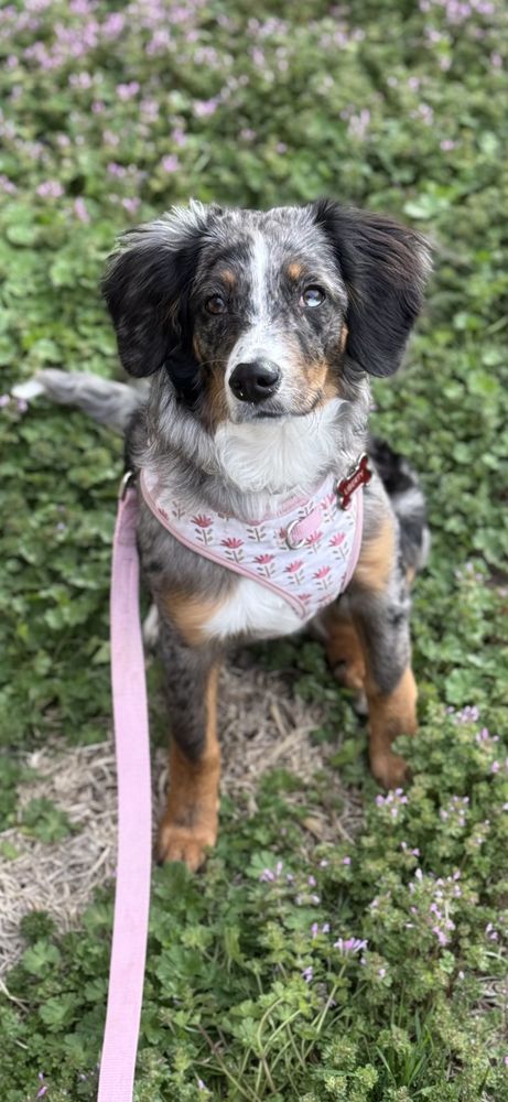 Faith and Family First - grief counselor in Topeka, KS