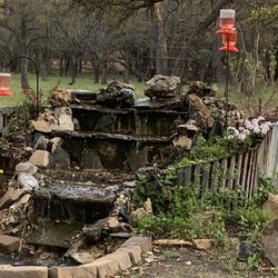 Hummer House With Bed & Breakfast - Magnificent display of morning gatherings God's Grace