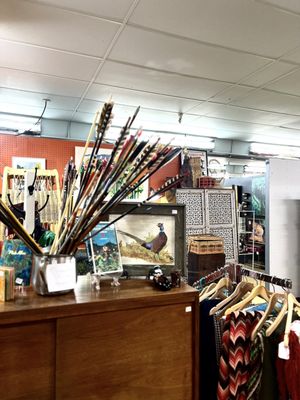 Red Owl Collective by null