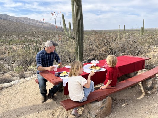 Tanque Verde Ranch by null