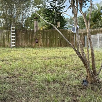 Archery Landscape - After sod layed, same yard. They also trimmed the back area for me the trees and brushes cleared it out. - Masonry/Concrete Near Me Archery Landscape - After sod layed, same yard. They also trimmed the back area for me the trees and brushes cleared it out. - Masonry/Concrete Near Me