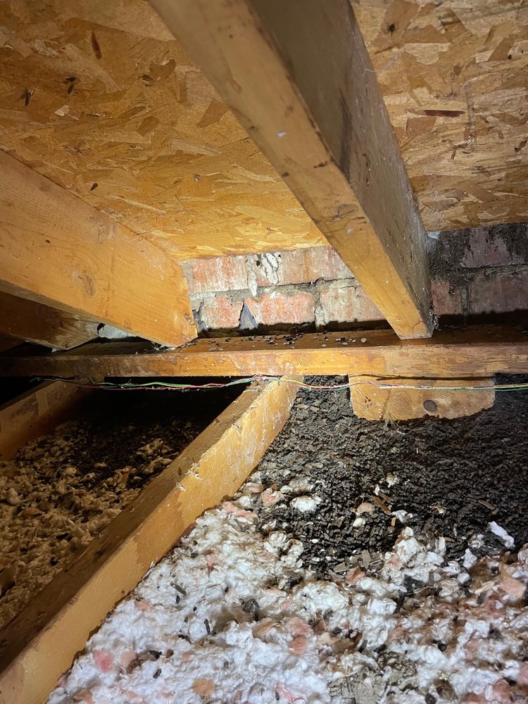 Alpha Wildlife - veterans service organization in Charleston, SC