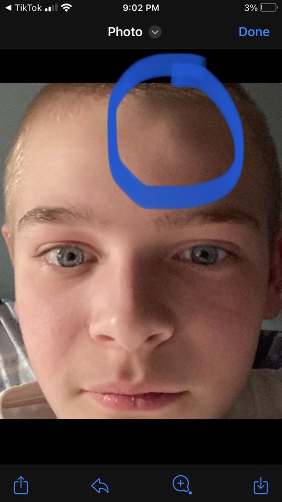 GREAT CLIPS Updated September 2024 11 Reviews 6768 Hickory Flat