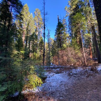 Calaveras Big Trees State Park - Parks Near Me - Arnold, California Calaveras Big Trees State Park - Parks Near Me - Arnold, California