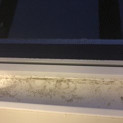 BRIGHT N SHINY WINDOW CLEANING & PRESSURE WASHING - 27 Photos & 80