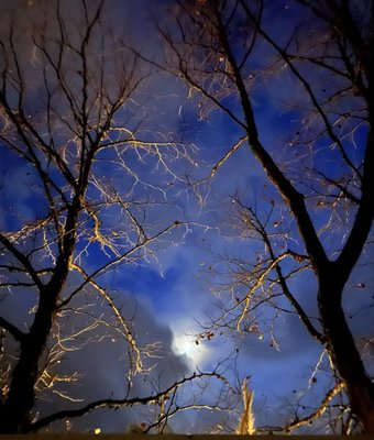 Indian Springs Calistoga by null