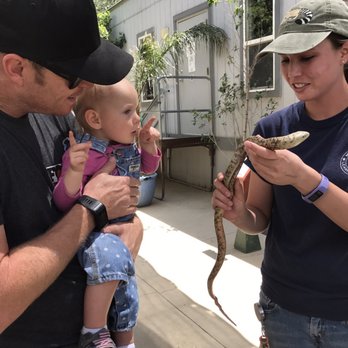 Wildlife Learning Center - Learning all about the leggless lizard! - Zoos Near Me - Sylmar, California