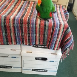 The Eclectus Parrot to greet you when you come into the store. Simply charming!!! The Eclectus Parrot to greet you when you come into the store. Simply charming!!!