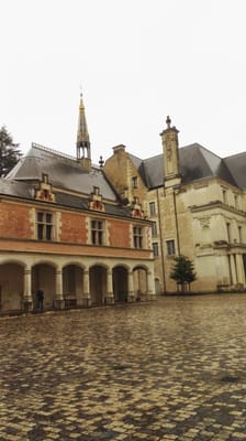 Royal Château of Blois by null