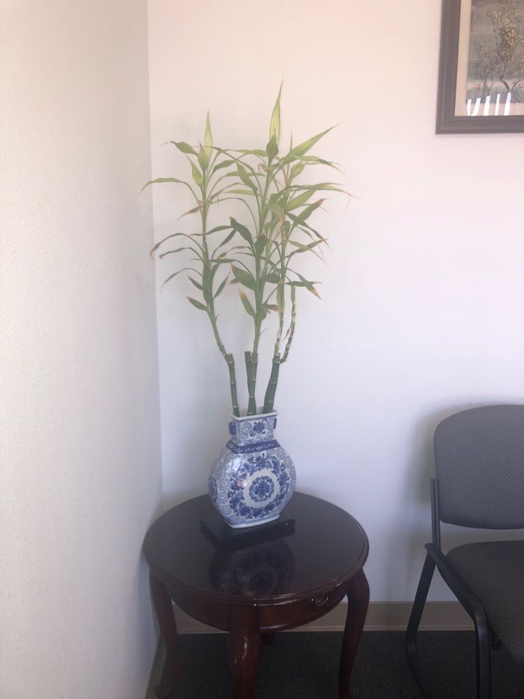 CHEN’S ACUPUNCTURE & HERBS Updated August 2024 30 Reviews 904 W