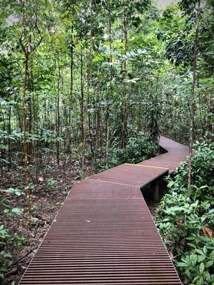 Lower Peirce Reservoir Park by null