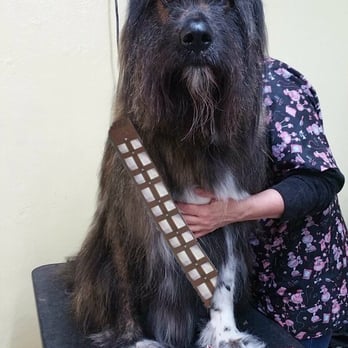 Pristine Pup - Pet Groomers Near Me - Gallatin, Tennessee Pristine Pup - Pet Groomers Near Me - Gallatin, Tennessee