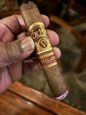 Shelly's Back Room by null