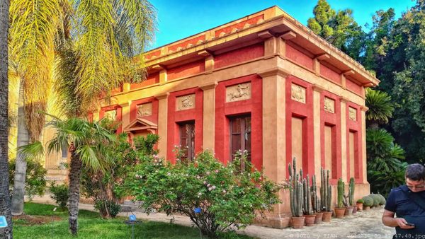 Orto Botanico di Palermo by null