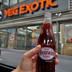 Yeg Exotic