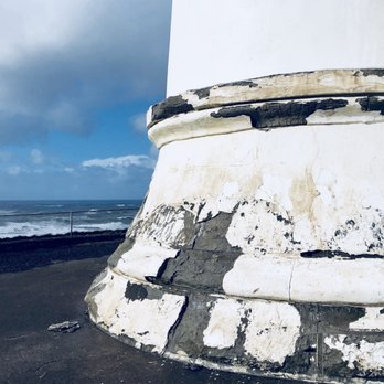 Cape Disappointment State Park - Years of weathering from the sea breeze and winds. - Parks Near Me - Ilwaco, Washington Cape Disappointment State Park - Years of weathering from the sea breeze and winds. - Parks Near Me - Ilwaco, Washington
