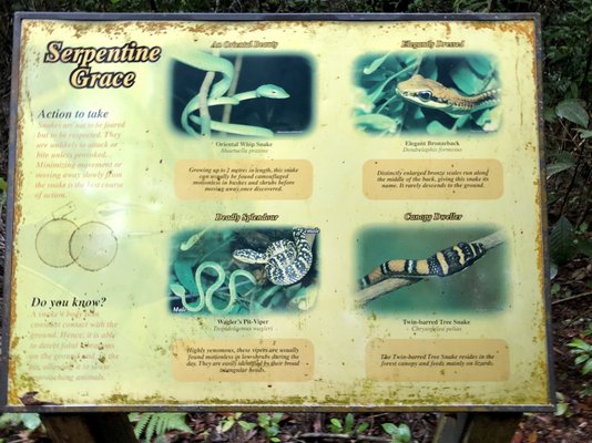 Lower Peirce Reservoir Park by null