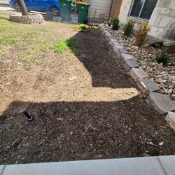 Lone Star Landscape and Tree Services - Dry area in front of the house. Water only to the left of the picture.