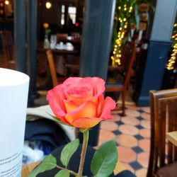 Gypsy Moth - Fresh flowers every table.  Plants cool video on a Monday afternoon.  Prices so reasonable.