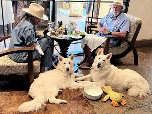 Bricks and Horses by null