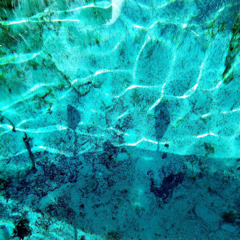 Three Sisters Springs - Unreal - Tours Near Me - Crystal River, Florida Three Sisters Springs - Unreal - Tours Near Me - Crystal River, Florida