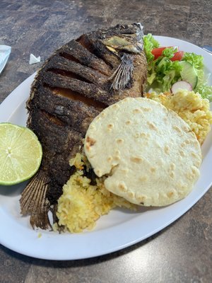 El Salvadoreño by null