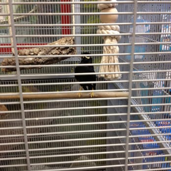 Megazoo - Pet Stores Near Me - Schönefeld, BB