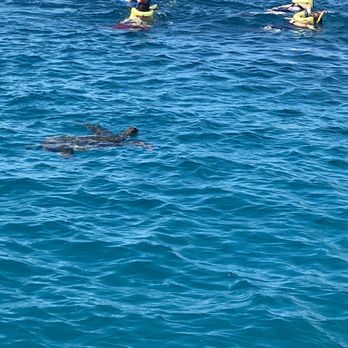 Holokai Catamaran - Boating Near Me - Honolulu, Hawaii