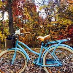 {Fall 2016} She's a beauty! I named her Lil' Blue.