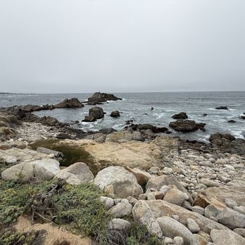 Asilomar State Beach - Parks Near Me - Pacific Grove, California