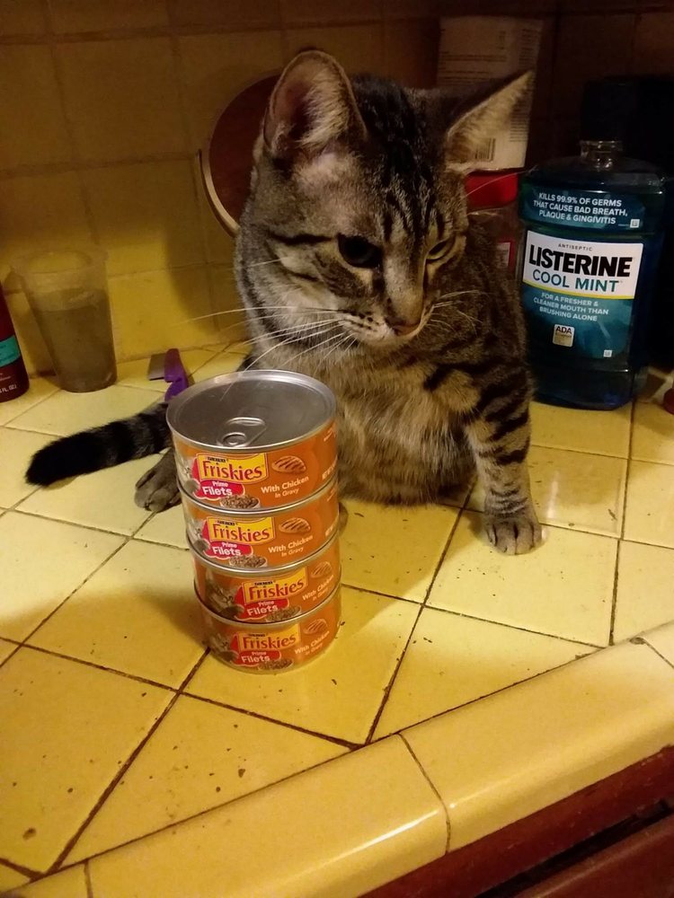 MCNEIL CONSUMER HEALTHCARE 7050 Camp Hill Rd, Fort Washington