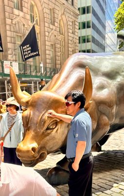 Charging Bull by null