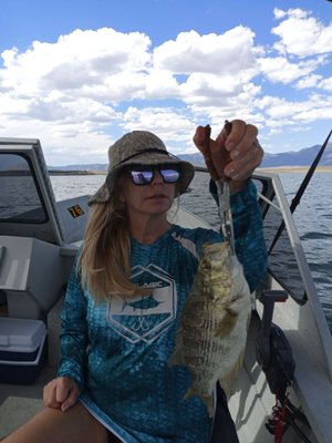 CROWLEY LAKE FISH CAMP - Updated July 2024 - 110 Photos & 37 Reviews