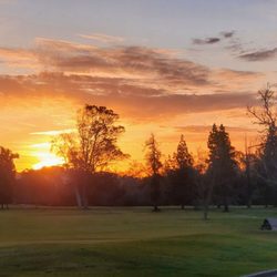 Wilson Golf Course - Sunrise