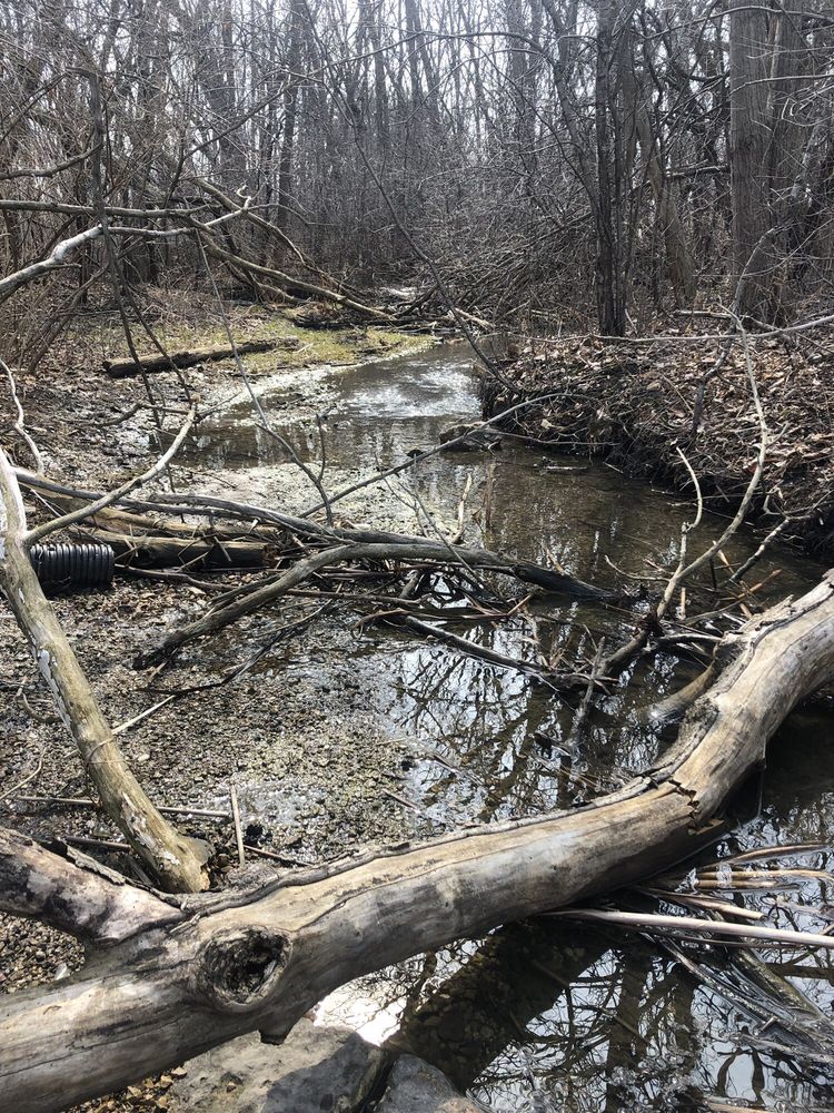 SCOUT LAKE PARK 21 Photos Parks 5902 West Loomis Rd, Greendale