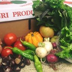 Root Cellar - Check out our bountiful Bounty Box! An easy way to eat fresh and local every week!