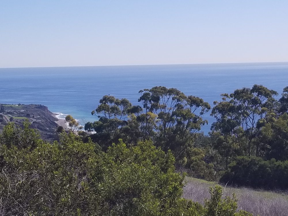 Megasoils - mold inspector in Torrance, CA