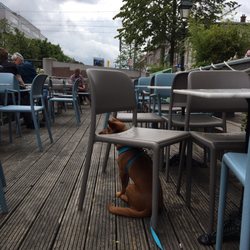 Café de Bieb - Nice dock!