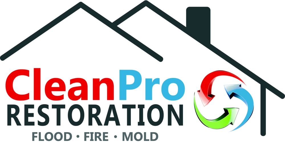CLEAN PRO RESTORATION 954 W Barrymore Dr, Meridian, Idaho Damage