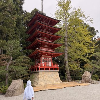 Japanese Tea Garden - Tea Rooms Near Me - San Francisco, California