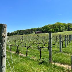 Clover Hill Vineyards & Winery