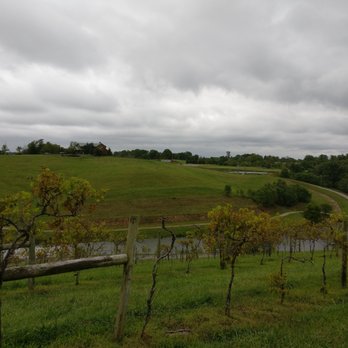 Elk Creek Vineyards - Vineyard - Wineries Near Me - Owenton, Kentucky