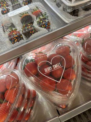 Publix Super Market at 18Biscayne Shopping Center by null