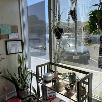 Embrace Acupuncture - More plants and nice natural light in the seating area - Acupuncture Near Me - Dublin, California Embrace Acupuncture - More plants and nice natural light in the seating area - Acupuncture Near Me - Dublin, California