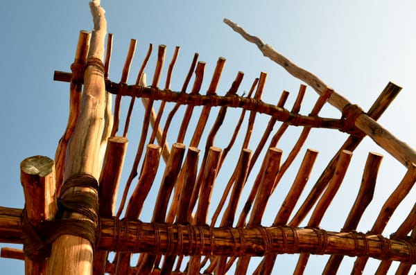 Puʻukoholā Heiau National Historic Site by null