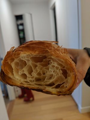 AvaBrew by Oren's Coffee by null