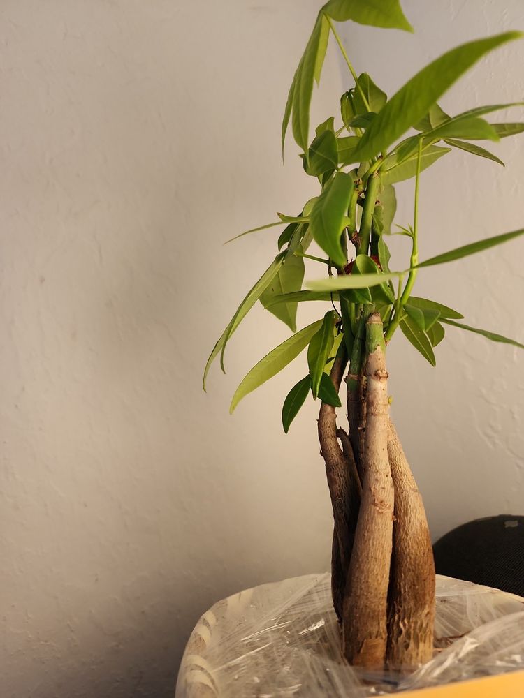 1800 FLOWERS Updated May 2024 352 Photos & 692 Reviews 101 W