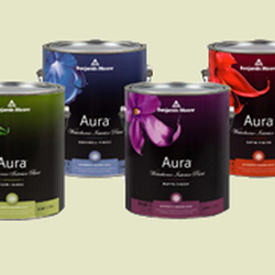 Peterson's Paint