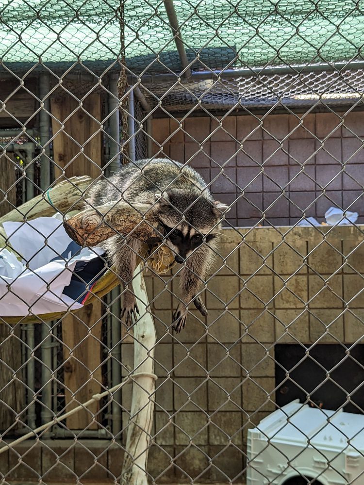 APPLEGATE PARK ZOO Updated August 2024 114 Photos & 51 Reviews